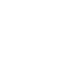 Brain & Memory Health